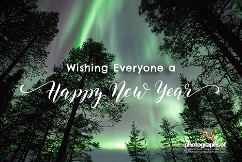 Photographsof's tweet image. Wishing all clients old and new a Happy New Year and a very successful 2020 🥂🍻🎉🎊