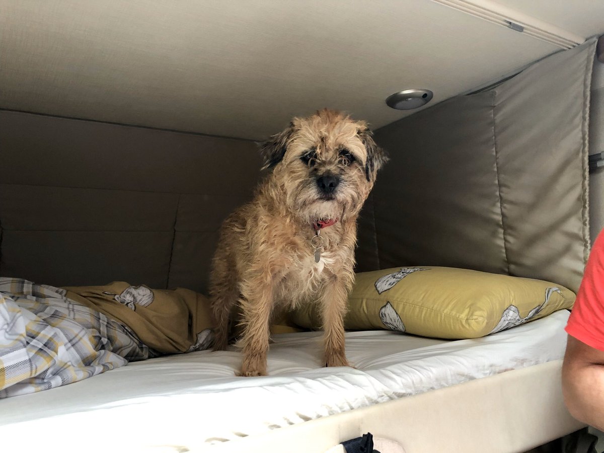 redthebt's tweet photo. #BTPosse #BTYearinReview dey got me a MoHo ๐พ https://t.co/Mkob6iqZ6F