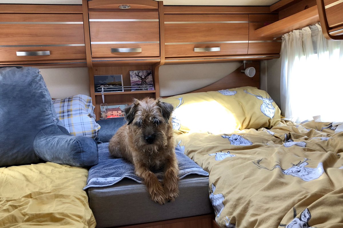 redthebt's tweet photo. #BTPosse #BTYearinReview dey got me a MoHo ๐พ https://t.co/Mkob6iqZ6F