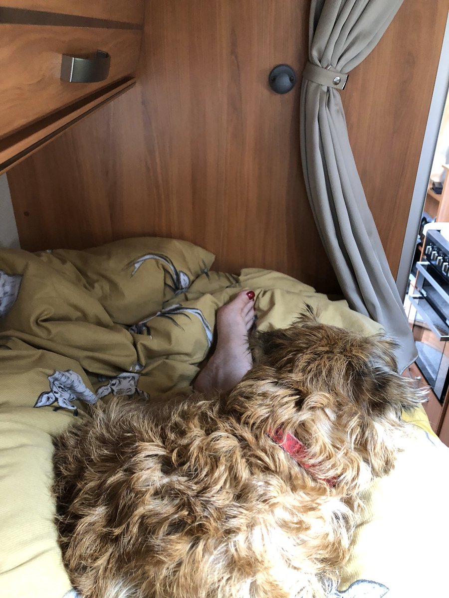 redthebt's tweet photo. #BTPosse #BTYearinReview dey got me a MoHo ๐พ https://t.co/Mkob6iqZ6F