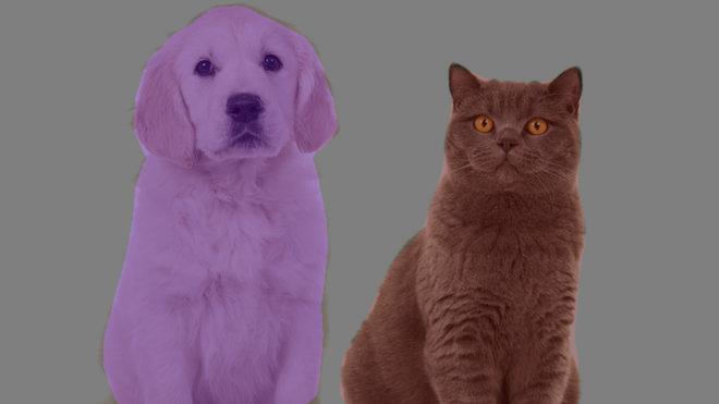 agath_alex's tweet image. Nice ... #SemanticSegmentation with #DeepLabV3