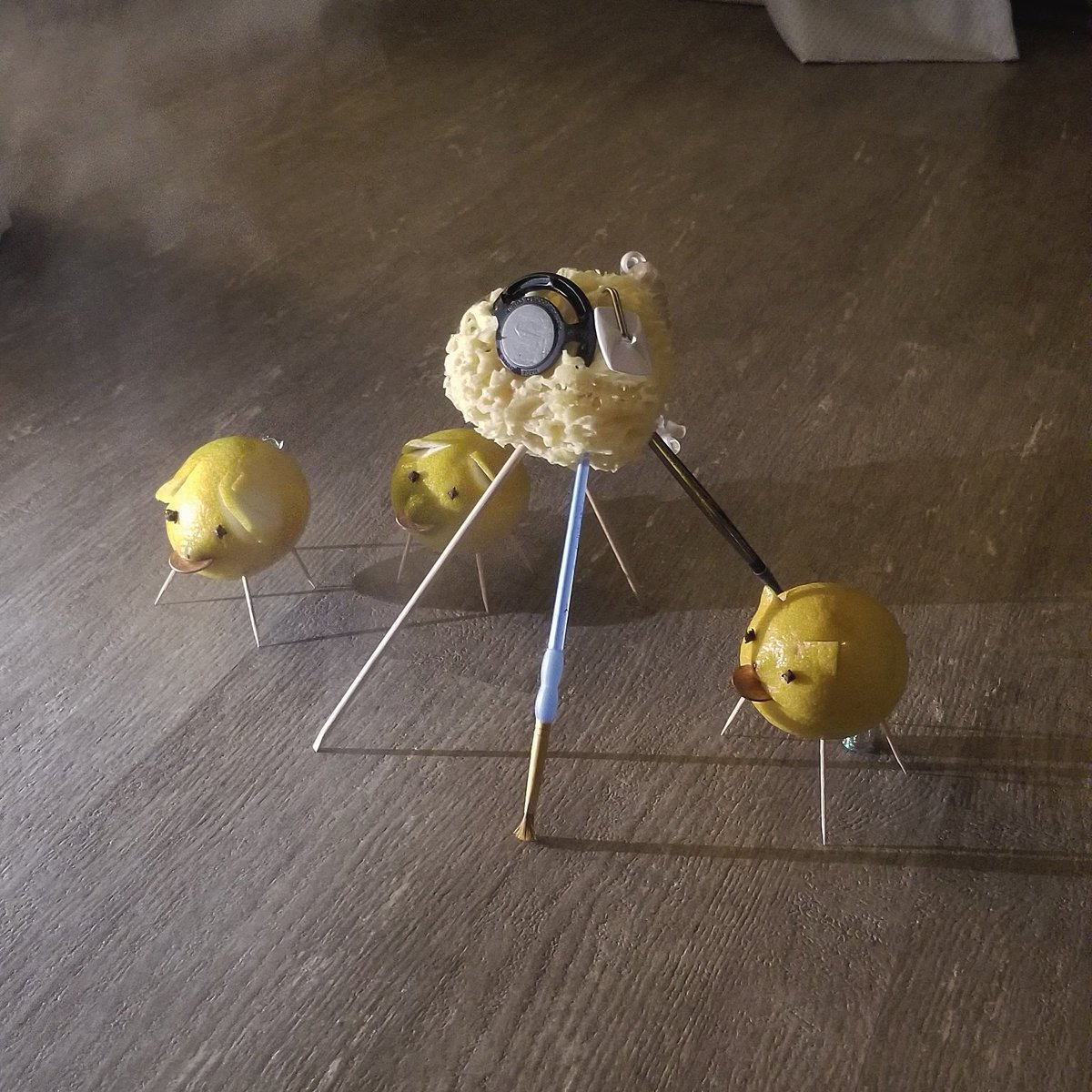_xhilyn's tweet photo. So we made lemon pigs for the new year... I'm v proud. #lemonpig #lemonpigs #lemonpig2020 https://t.co/QxNsAC7L2b