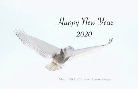 unit_FUKURO's tweet photo. Happy New Year 2020!!!
See you @our next live on Feb.26, 2020!!!
#FUKURO #guitar #instrumental #original #gig #jazzrock #happynewyear2020 https://t.co/4AzEpp9VAK