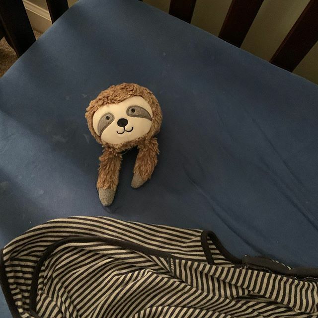 crmessyhouse's tweet photo. I know Connor looks cute and sweet, but you should know that he beheaded his lovey one night recently, and now sleeps with just the disembodied head 😬 #savage https://t.co/Tfx4fcUofd https://t.co/kI7w8ujK6W