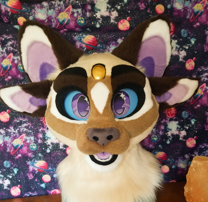 DemiNeko✨Designs ➡️Premade Available tweet media