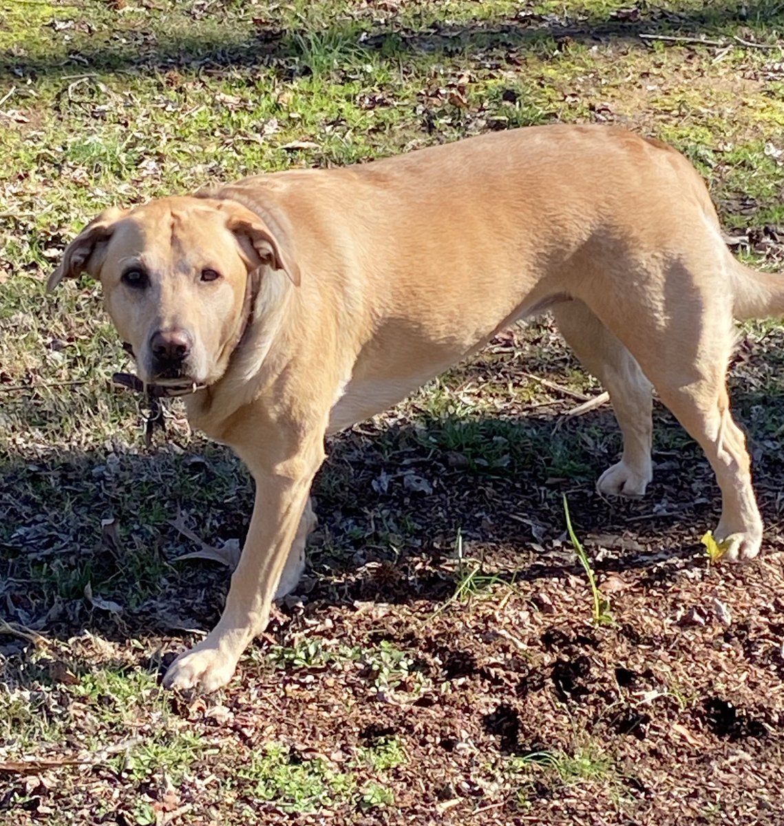 SWackler's tweet image. 