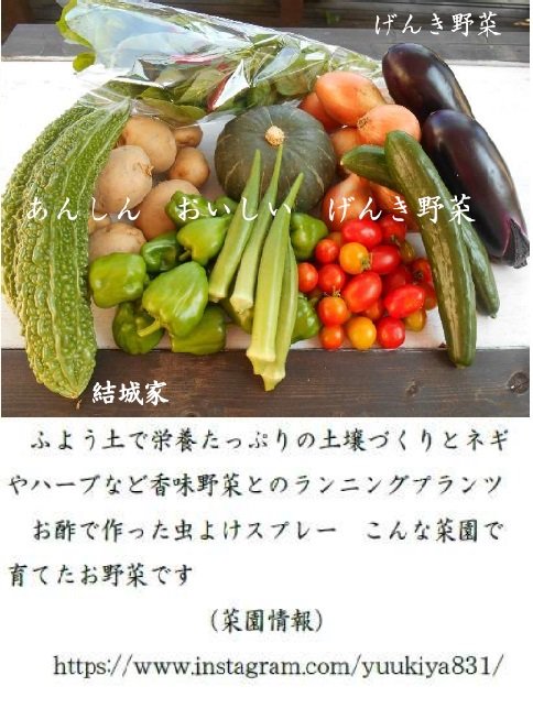 結城家 Twitter Search 結城家 Twitter Search