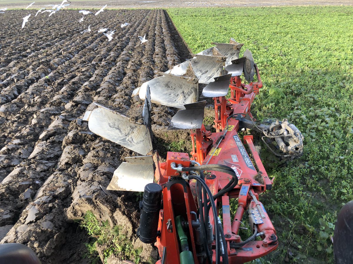 We sluiten (oogstjaar) 2019 vandaag af en gaan vol frisse moed voor (oogstjaar) 2020 aan de slag 💪🏻 Voor iedereen een goede jaarwisseling gewenst en een gezond en vruchtbaar 2020 #oogst2019 #oogst2020 #nieuwjaarnieuwekansen #opnieuwbeginnen