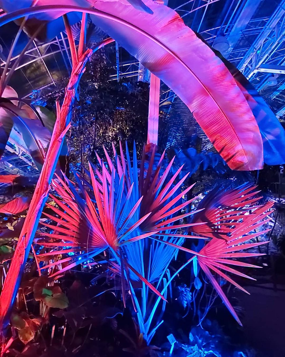 Tiger, tiger, in the dark, creeping to the open door. Taking in the sights and sounds, as you decide what you'll take from me. Thinking of the path to follow, to get what you desire absolute. Tiger, tiger, at my door, just let me be and take no more. #poem #micropoetry