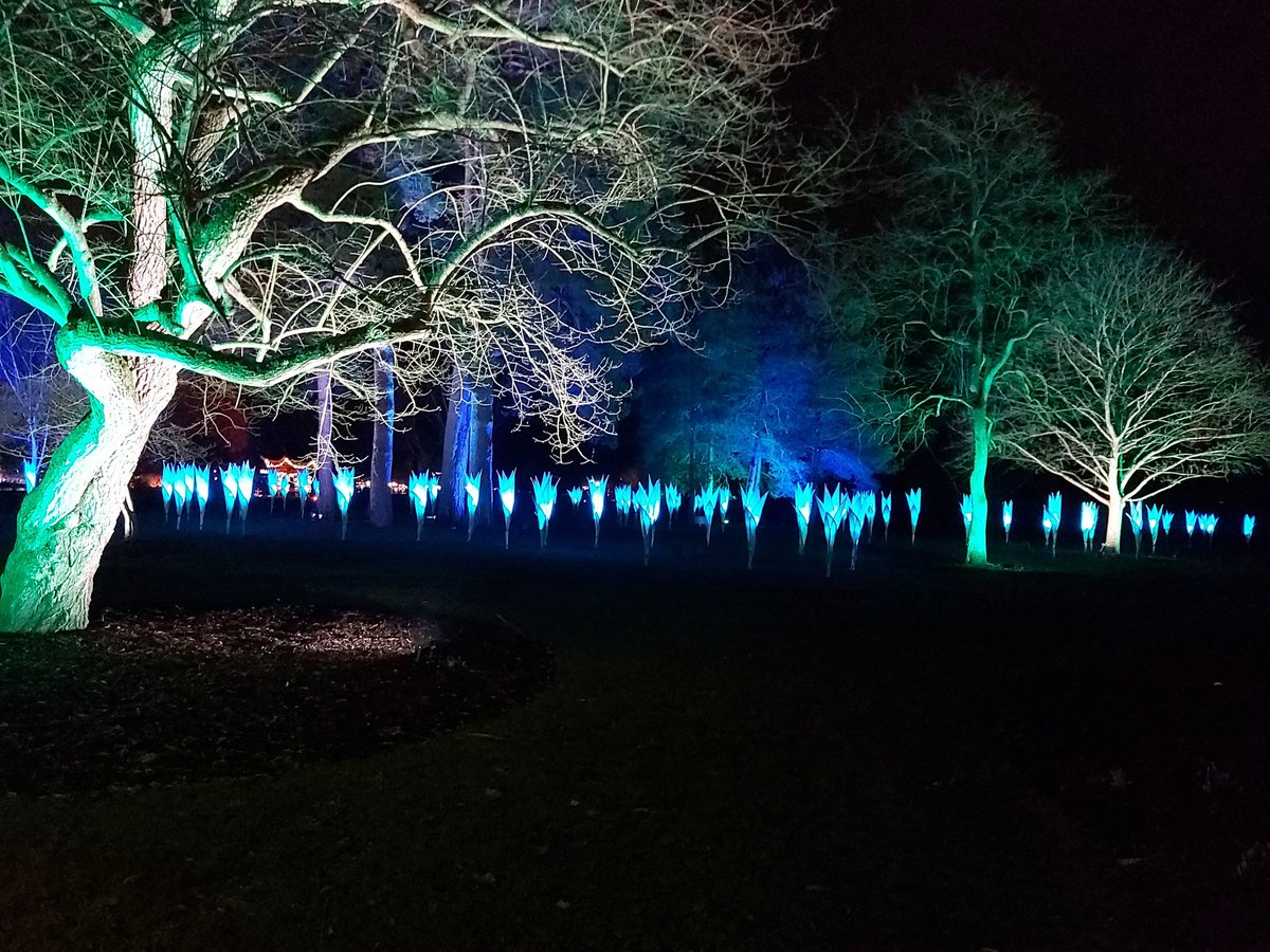 As 2019 lines up, ready to leave - we bid farewell to fallen dreams. Instead we reach for songs of hope, as 2020 emerges - fresh and unblemished - ready for us to seize each new day. #happynewyear2020 #NewYearsEve #poem #2020WillBeTheYearFor