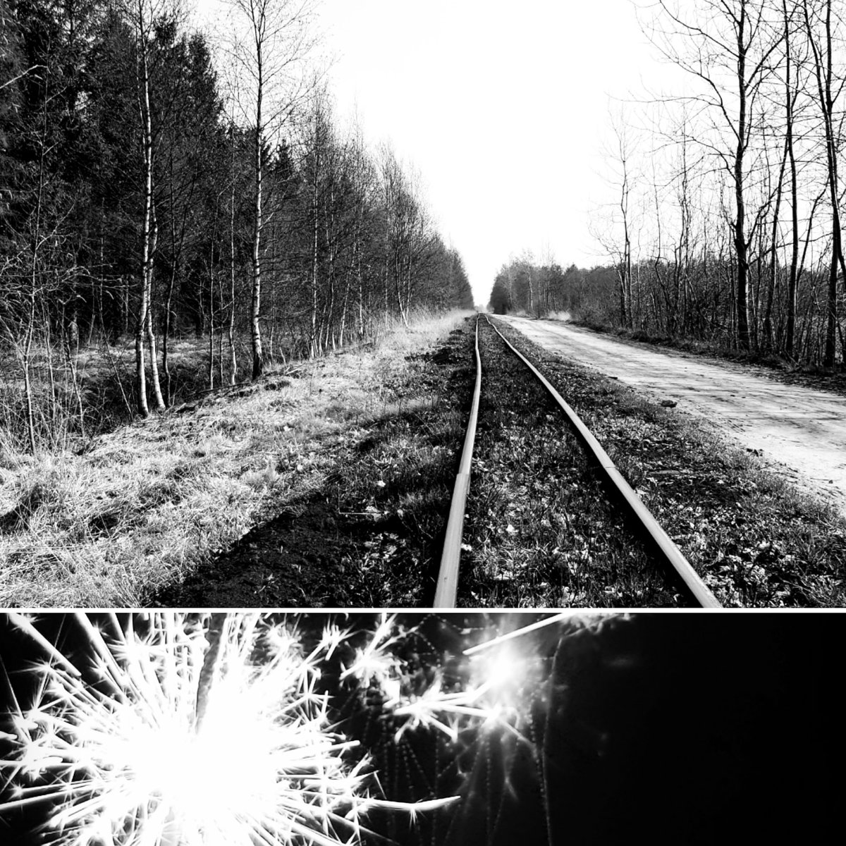 MarcTomfohrde's tweet photo. This year comes to an end but there is a further track ahead. Happy new year and thank you all.
_________________________
#marctomfohrde #trancefamily #trance #trancewarriors #trancelovers #christmas #newyearseve #happynewyear #nextdecade #2020ahead #silvester #frohesneuesjahr https://t.co/saQxKE4j4Y