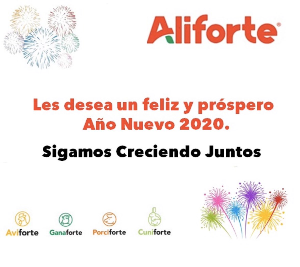 aviforte's tweet photo. https://t.co/fXV2bKHQ9q