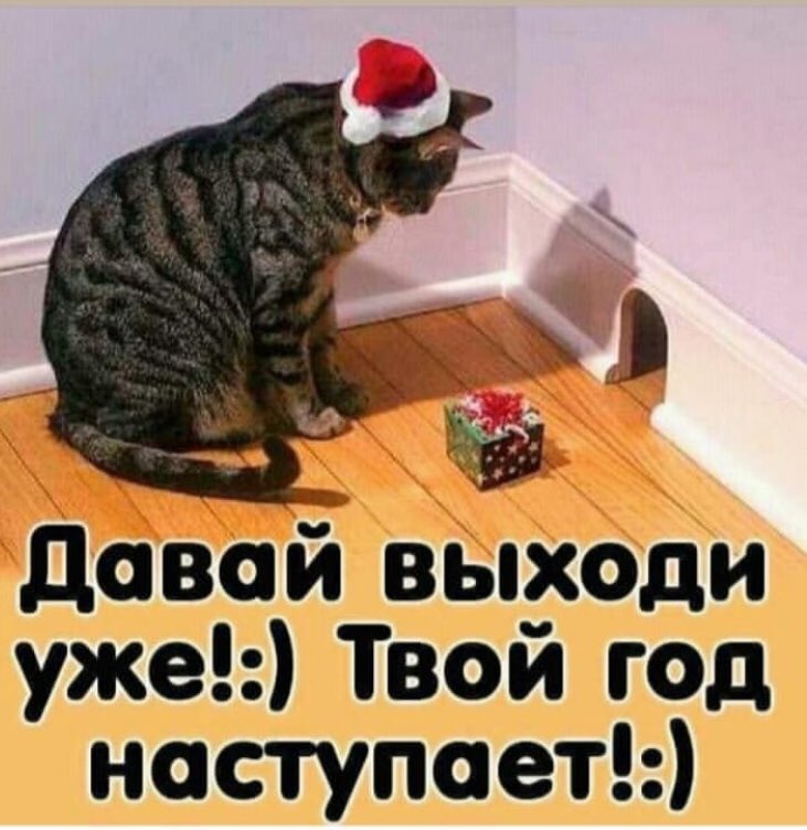 твой новый парень. улыбнись скоро новый год. твой год будет. мемы 4ch старые. последняя цифра твоего номера.