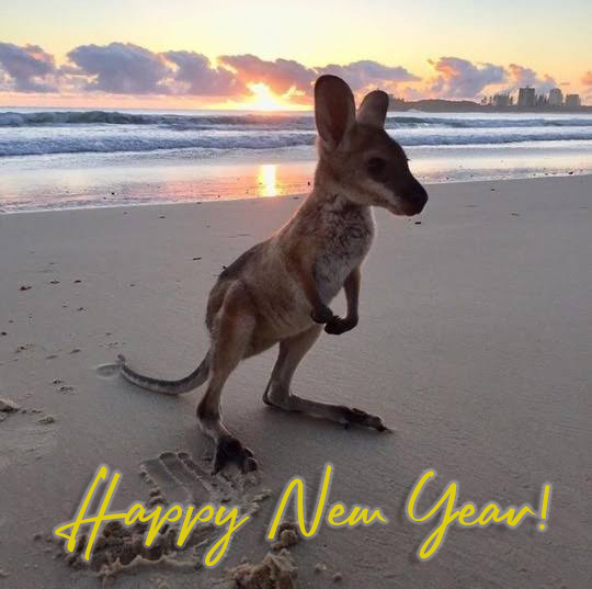 visitmooloolaba's tweet photo. Welcome to 2020!  #2020 #mooloolaba https://t.co/UnxvESdhRa