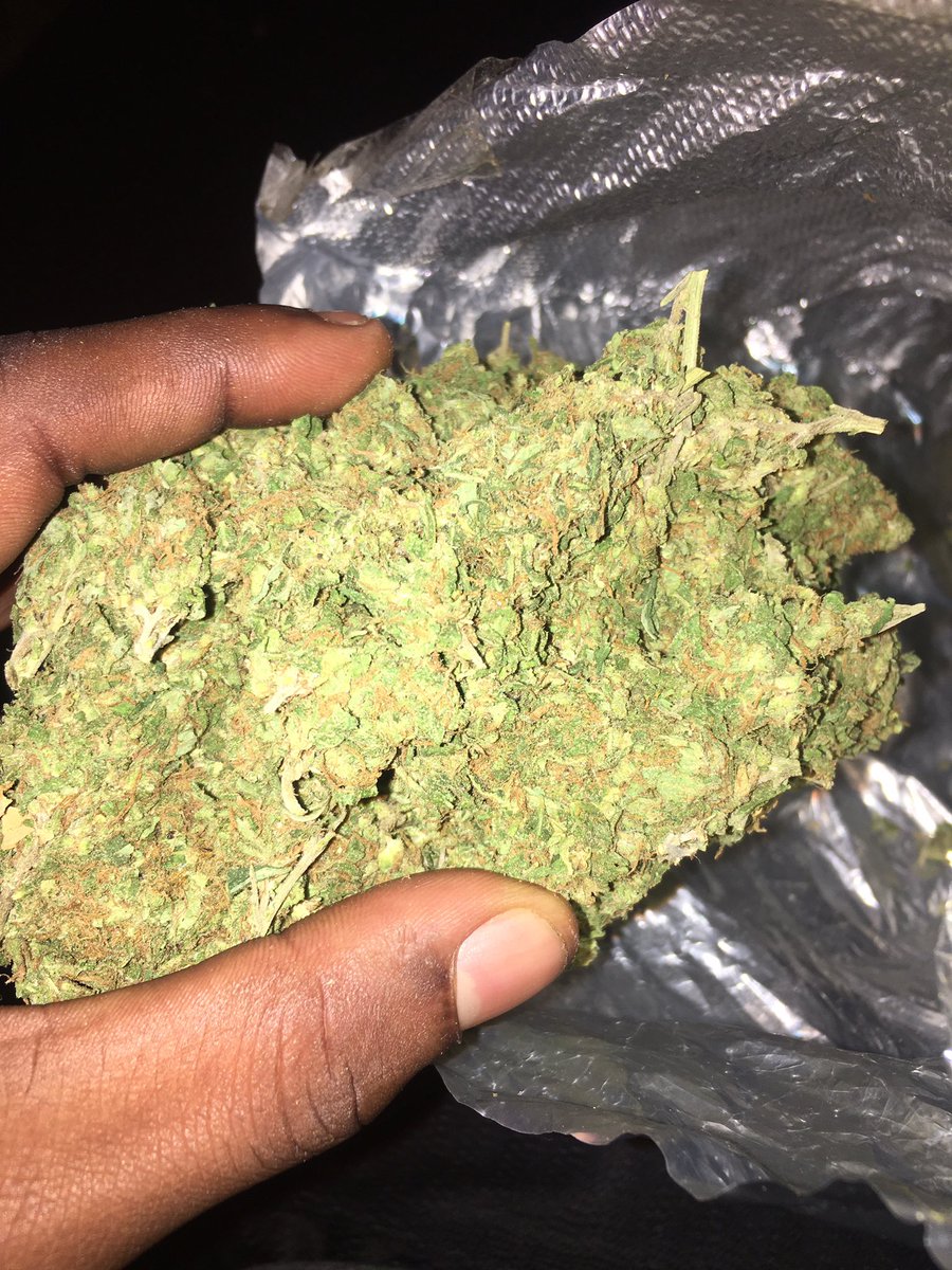 OrlandoKush2019's tweet photo. New Years Deals π²3212510945) #orlandoweed #orlandobud #kissimmeebud #downtownorlandoweed #davenportweed #winterparkweed #winterparkbud #orlandokush #420orlando #orlando420 #seaworldweed #disneyweed #eastorlandoweed #ucfweed #ucfbud #Daytonaweed #idriveweed #Orlandogas https://t.co/7UtKhfzTGp