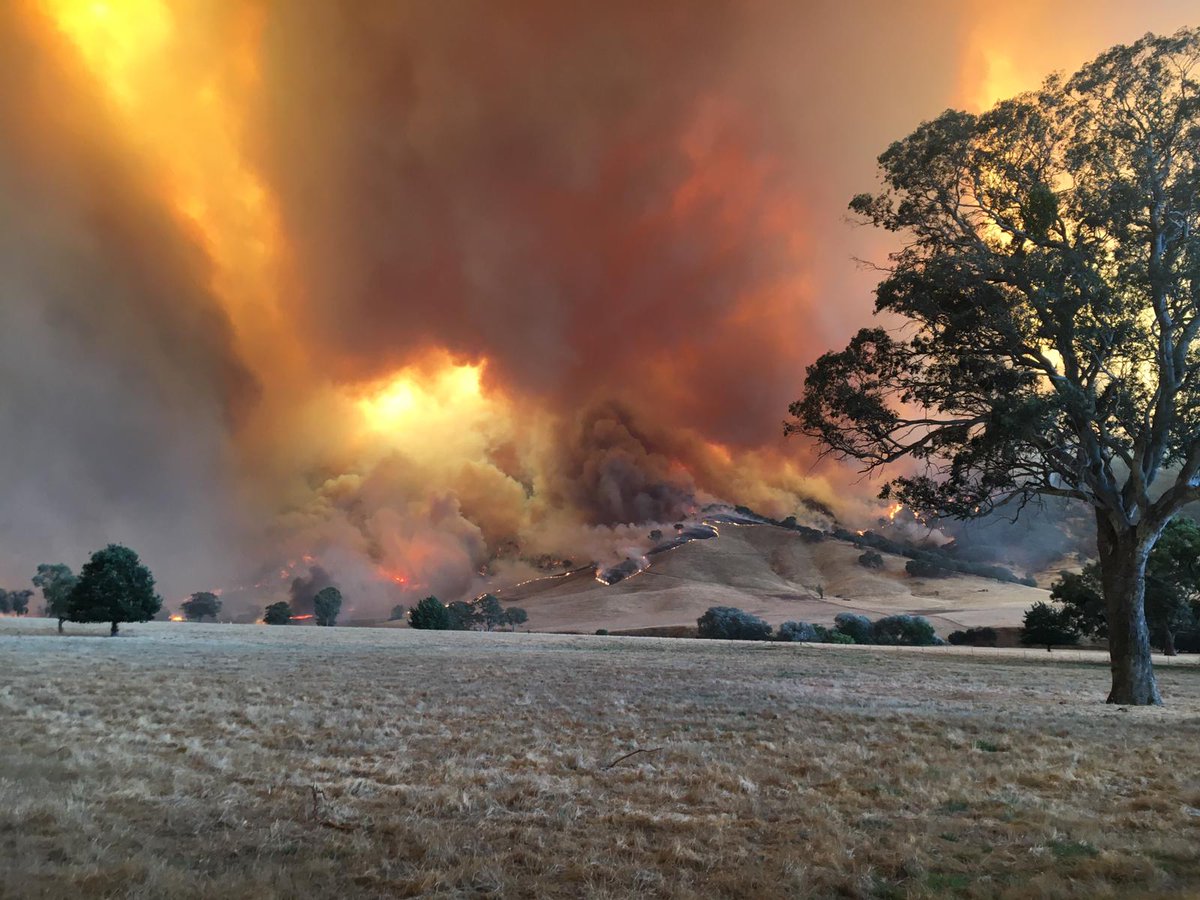 Australia is a virtual hellscape because 2 dozen people need to continue to be rich.

We can stop this anytime we choose. We just have to choose.

#AustralianFires #AustraliaBurns