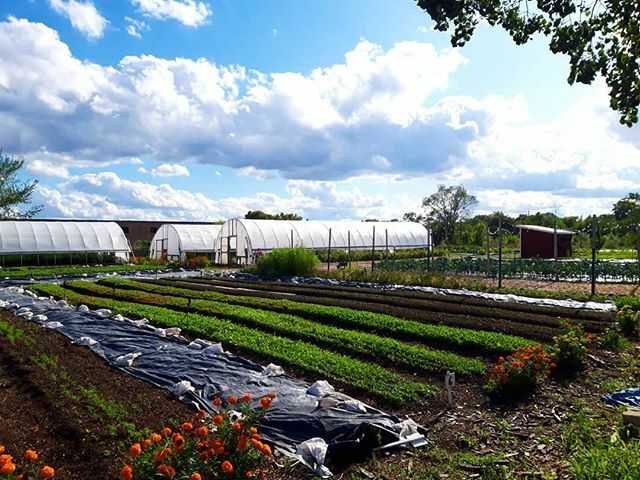 2019 has been a big year for our farm! We grew more produce and offered more educational opportunities than ever before and even expanded our cultivation fields by 50%. But we couldn't have done it without the support of our community!
.
If you'd like to… ift.tt/2QaZ0ui