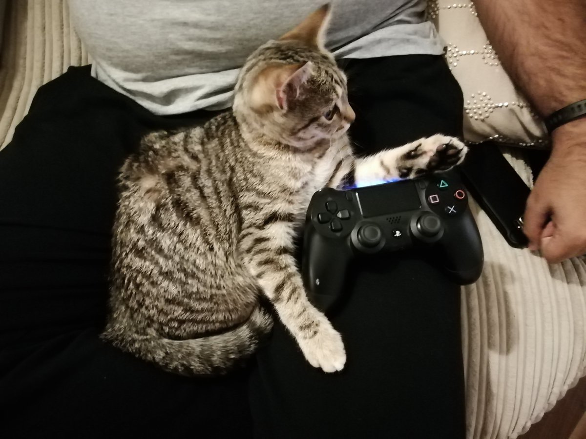AlidinaShainaz's tweet photo. Hi grandma,, I have taken charge of playstation as dad is not giving anyone else a chance. https://t.co/WaOA8giUcO