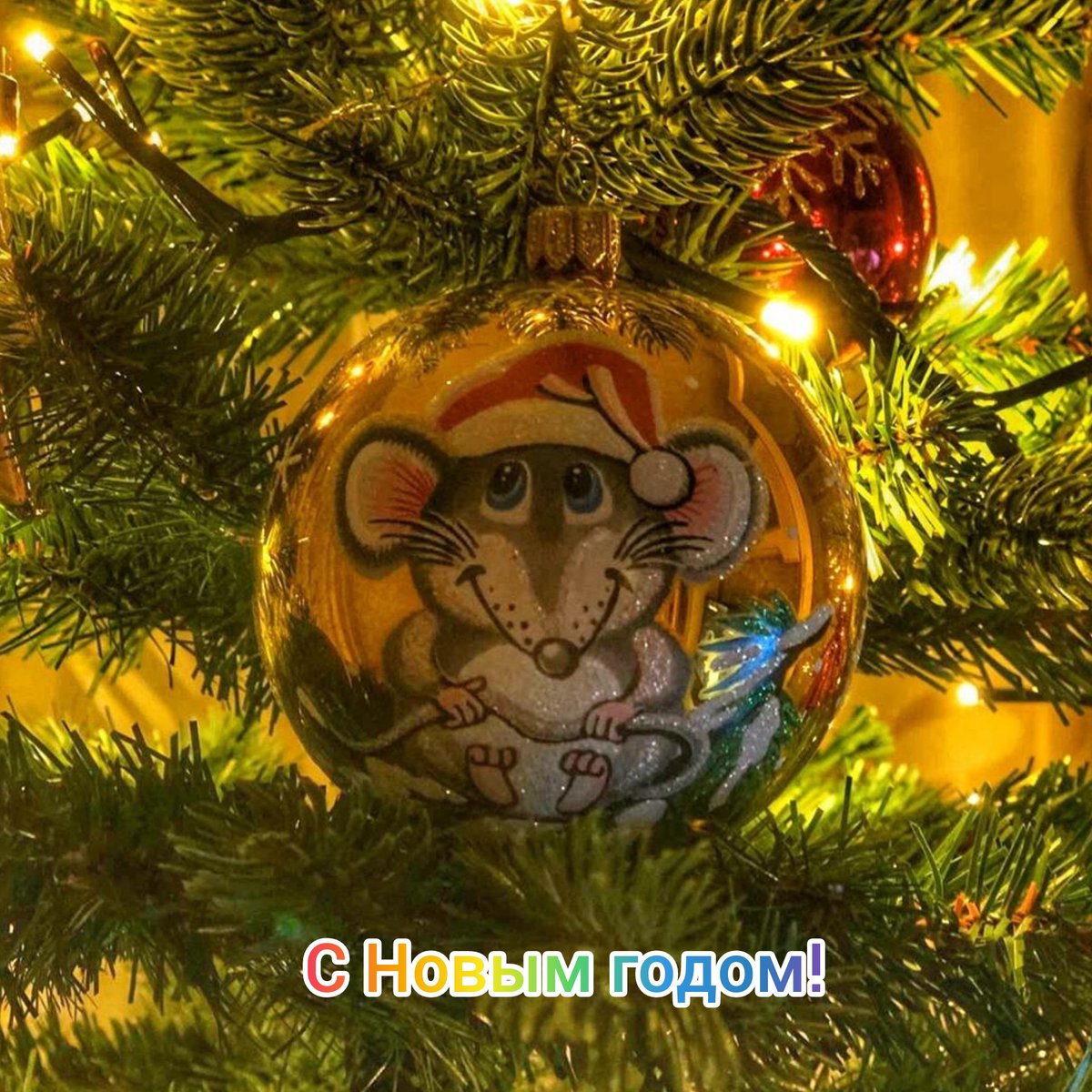 ddb777's tweet photo. С НОВЫМ ГОДОМ! 🎄 https://t.co/ZydgagX6pT