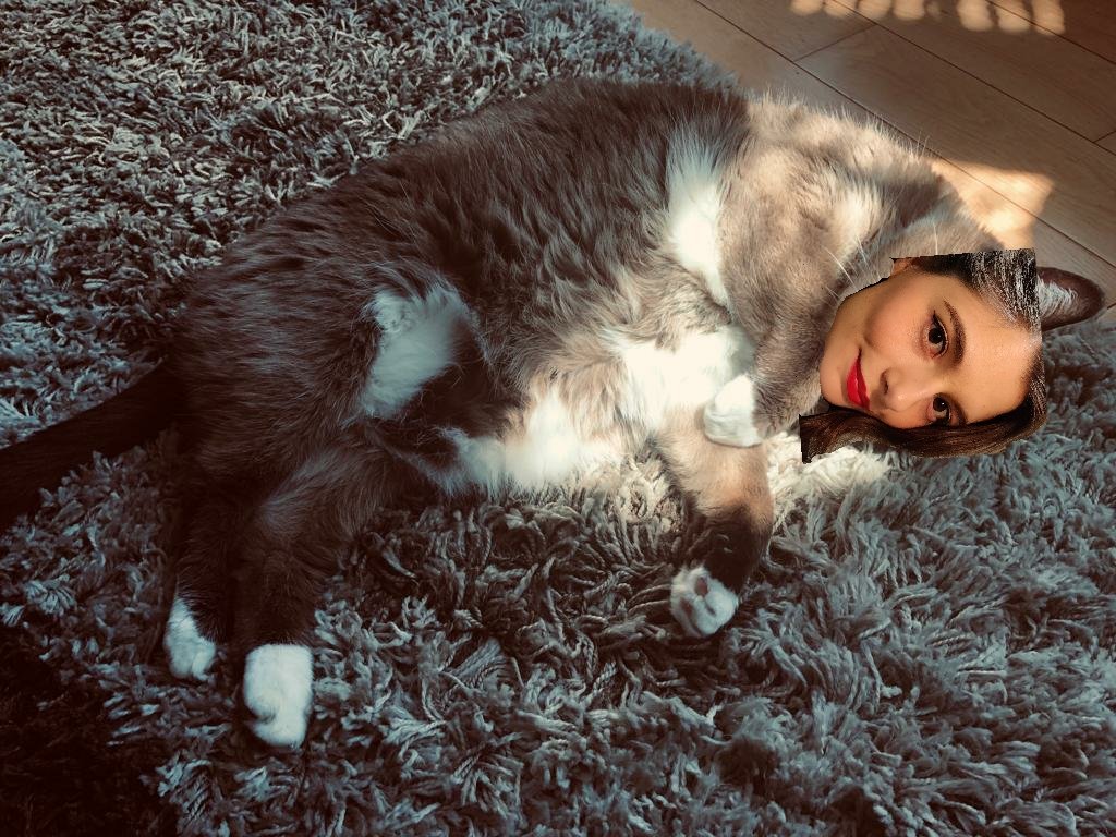 After having to keep it secret for so long, I am over the moon to finally announce I am in Cats the movie! Here is a little snap of me relaxing on set. #Jellicle