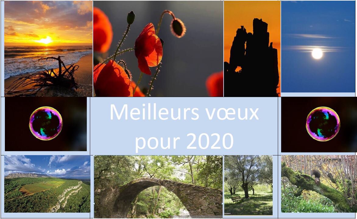 Sabonnadiere Arnaud tweet media
