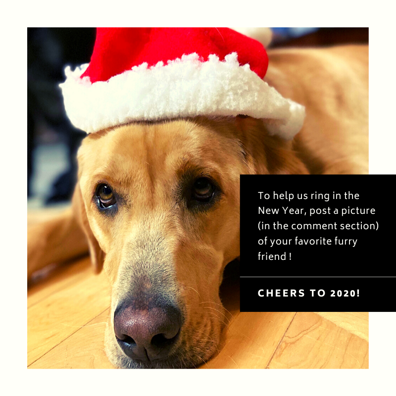 ilsbeef's tweet image. #happynewyear2020