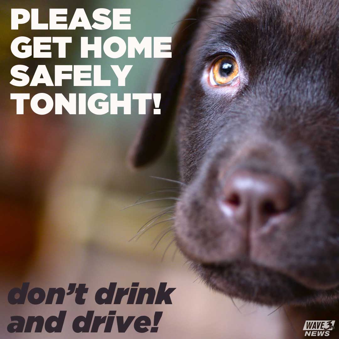 wave3news's tweet photo. PSA ...

Enjoy the celebrations tonight, but please be careful! https://t.co/bqkwzYChr8