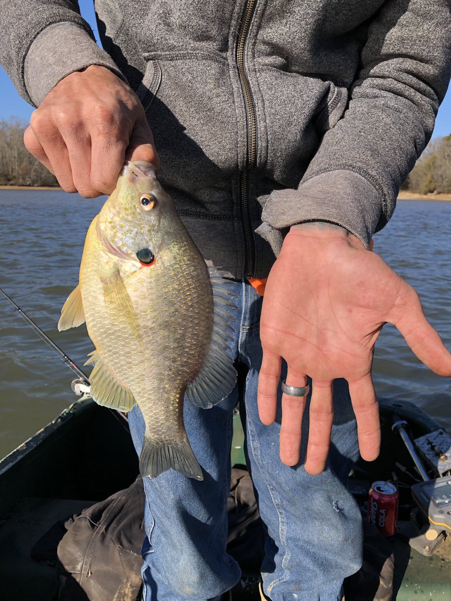 My wife hooked up a big red ear