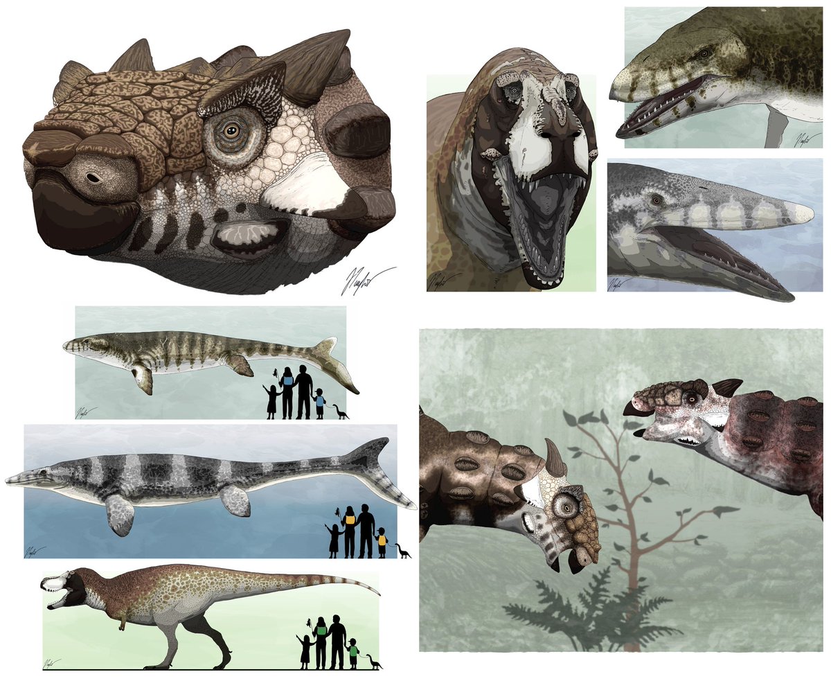 JedTaylorArtist's tweet photo. Some of my favourite commissions of 2019. Thanks to @asprosaurus and @Jurassic_Quest for commissioning these pieces. #Talarurus #StanTheTrex #Tylosaurus #Prognathodon https://t.co/4P2AkwYsPe
