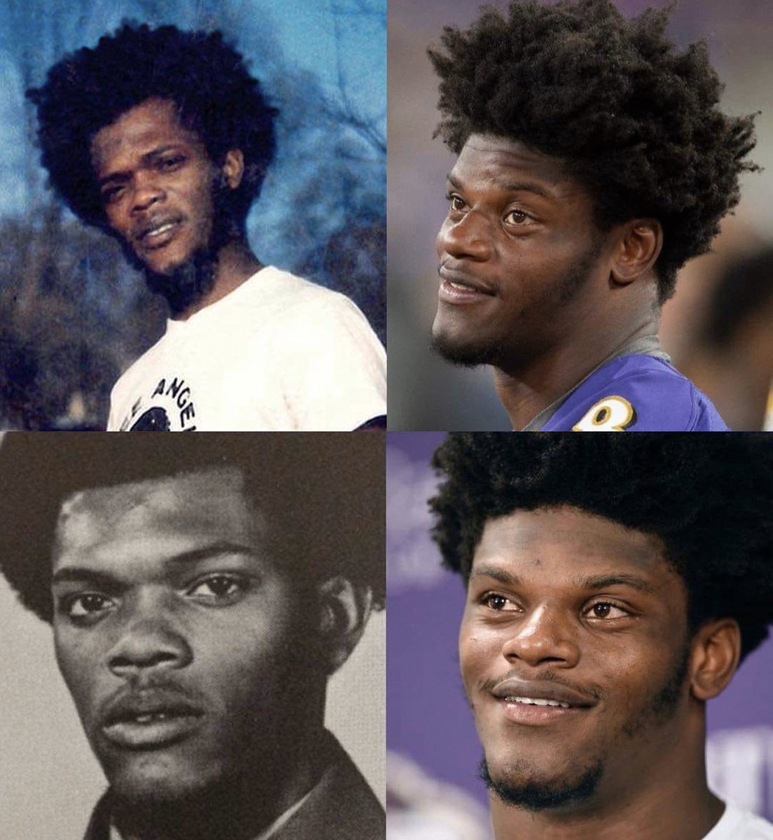 Get The Fuck Back To Work Steven Samuel L Jackson Black Snake