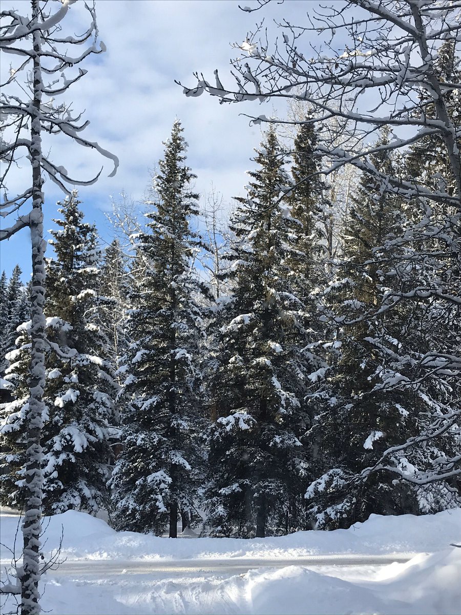 mtns4ever's tweet photo. @jannarden I couldn’t agree more😌 Being grateful for all the small things leads to a big happy life xo https://t.co/bJOaJgNPjx