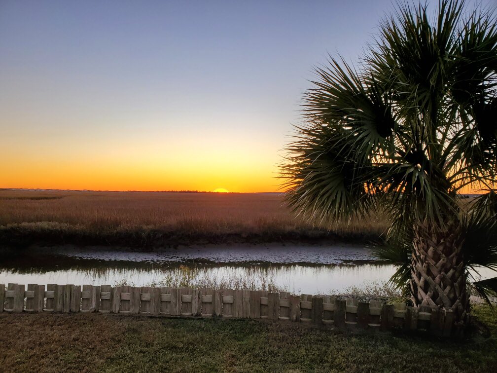 Mark Moore tweet media