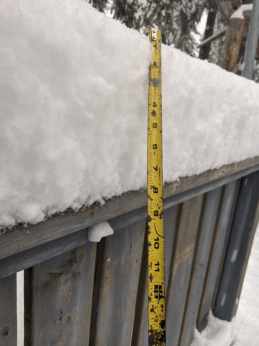 Winter wonderland
Today .