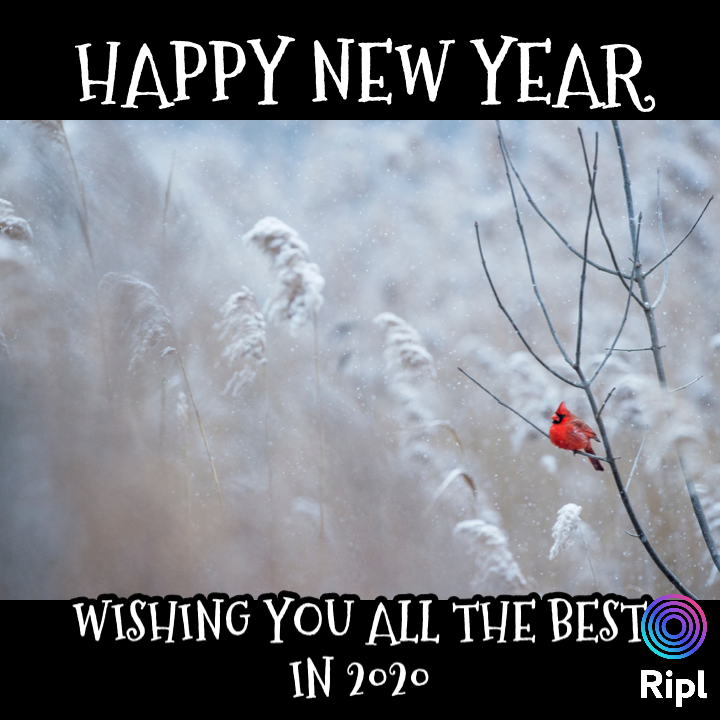 RiverstJoe's tweet photo. via https://t.co/q9Pl5gzsVT https://t.co/4hhQNvqrZS