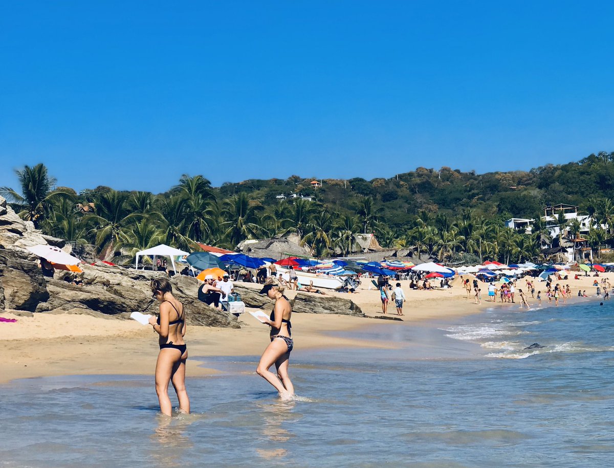 ale_chilango's tweet image. La lectura.