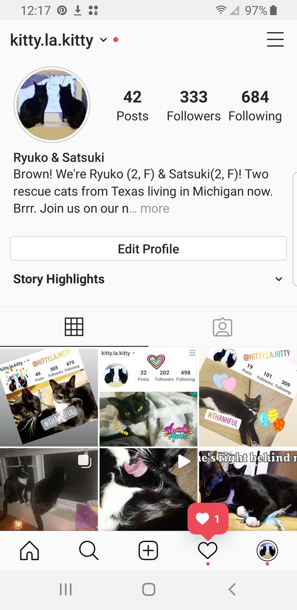 KittylaKitty2's tweet photo. Add us on instagram!! @kittty.la.kitty https://t.co/EZGaXxriEg