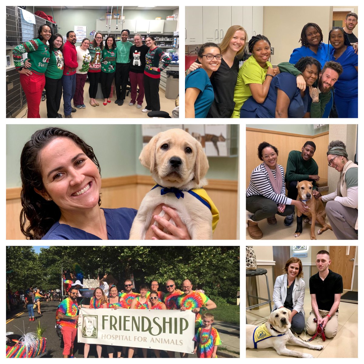 PenFed's tweet image. In 2019 our colleagues have raised 6 future service dogs! We are so thankful 4 the support of the PenFed family, including Friendship Hospital for Animals in D.C. 4 their extraordinary care.Follow our special FB group PenFedPups for news of the 7th future service dog coming 2020!