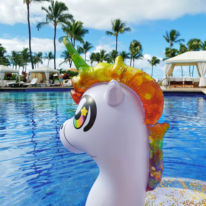 My resolution for the New Year is to ride into every sunset on the silliest pool float I can find. https://t<a href="/tag/avengersendgame"class="tags"><span>#avengersendgame</span></a>