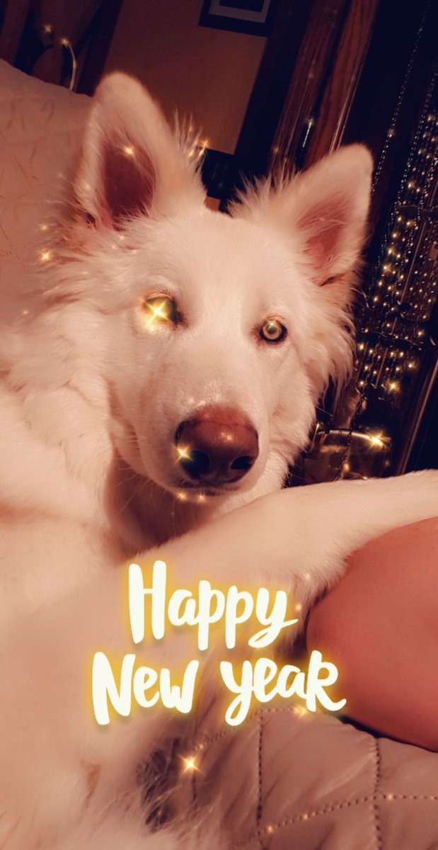 Tanja Schleich (@tanschana) on Twitter photo 