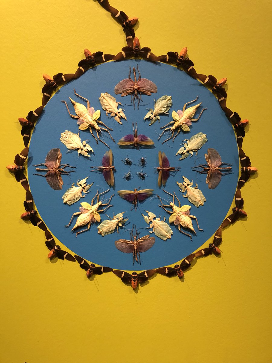 Hailey Dansby tweet media