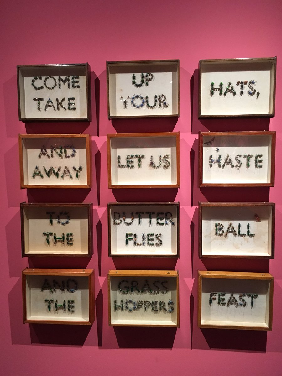 Hailey Dansby tweet media