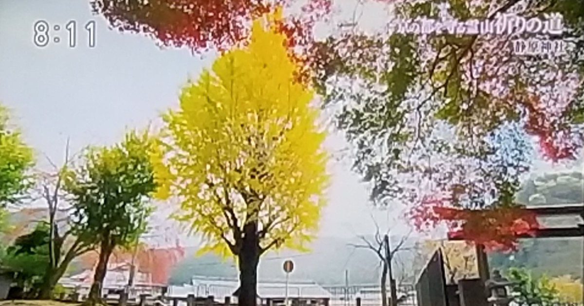 京の都を守る霊山 Hashtag On Twitter