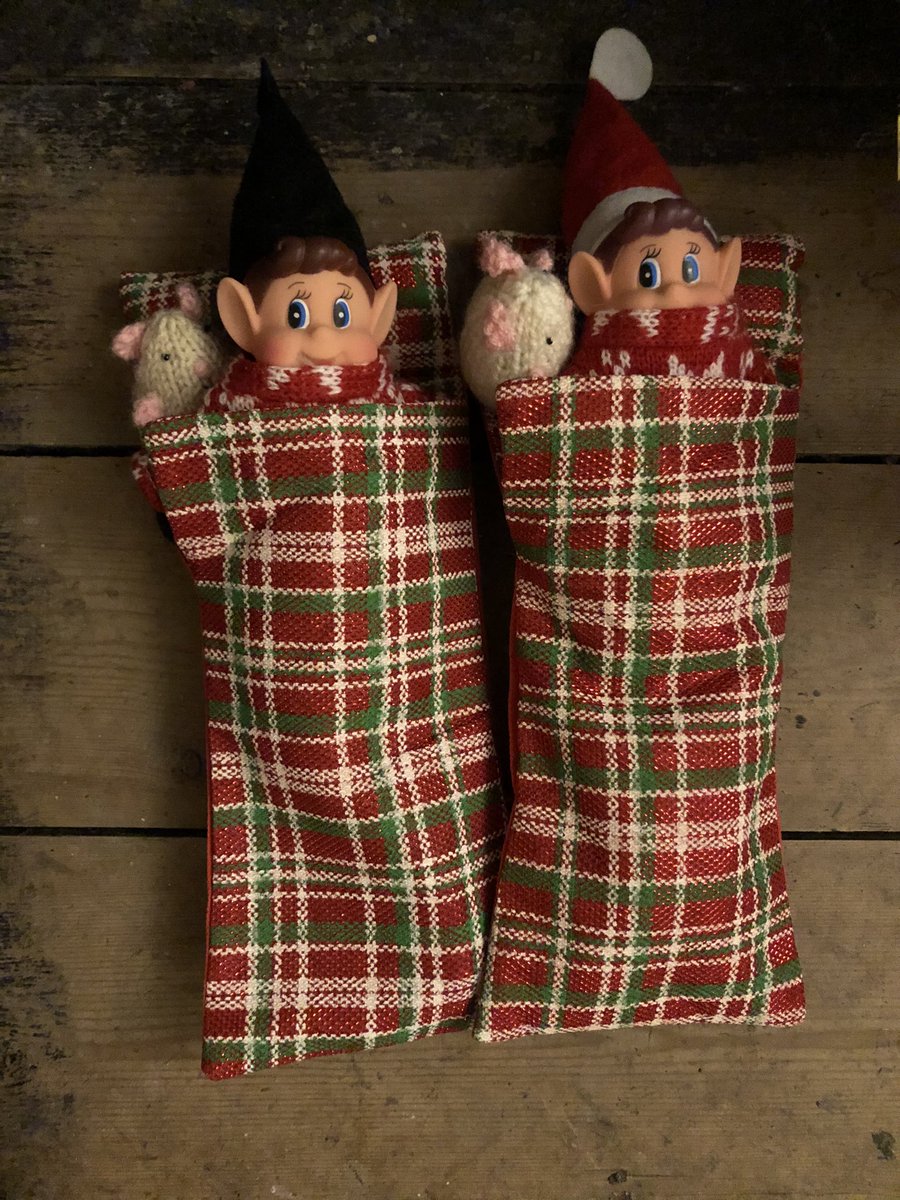 Sunniethehoob's tweet photo. And it’s good night from the twins. #elvesbehavingbadly #noelfcontrol

Ps - just don’t ask about the mice.... https://t.co/uIaIcg0dOX
