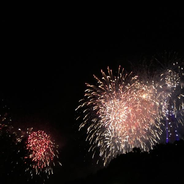 ModKidsDesign's tweet image. Happy New Year!