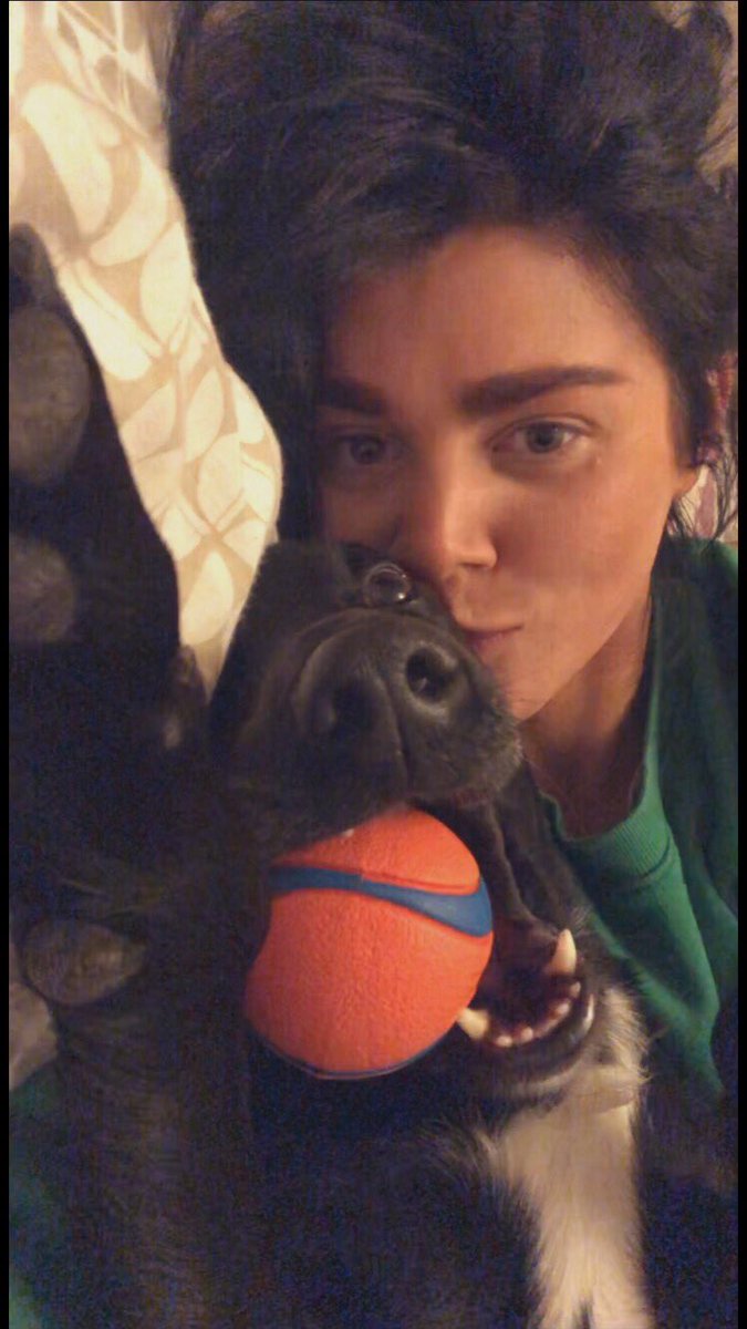 Inscarll's tweet photo. #Boxingdaynight I told her we were going for a walk and she had her ball in her mouth within 3 seconds 😭 #dogcelebration #happynewyear2020 https://t.co/9SJ6Jp0a6r