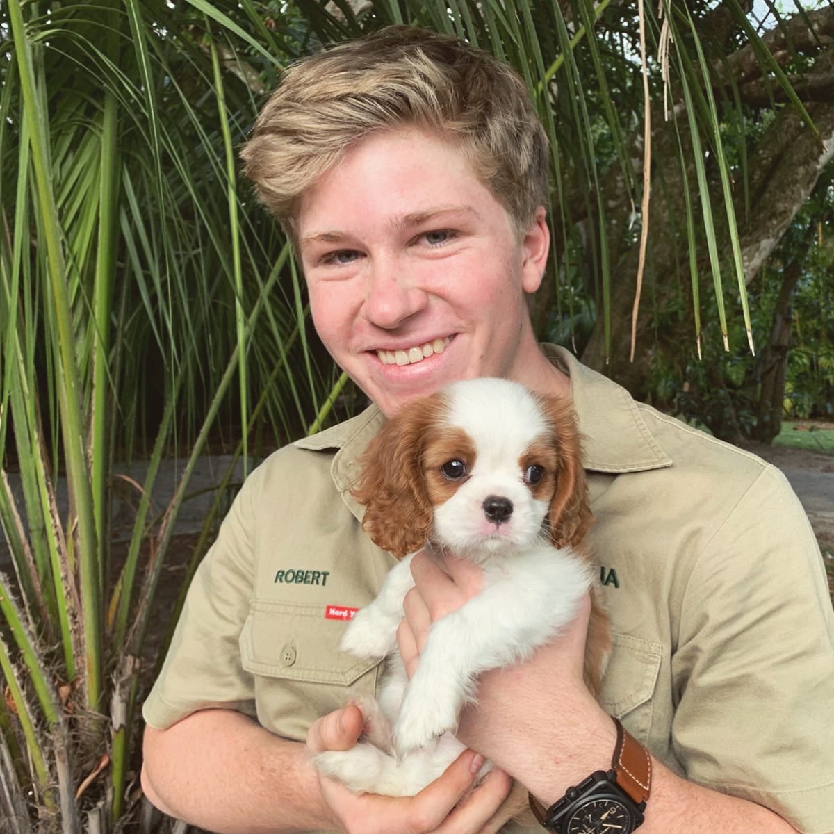 Robert Irwin tweet media