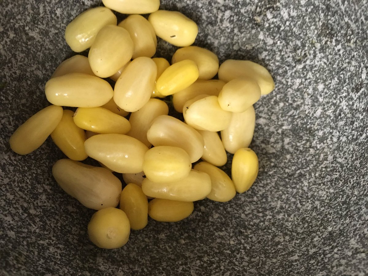 SuperhotSeeds's tweet photo. #jellybeanpepper #peppers #hotpepper #superhotseeds #superhotpepperseeds #chilli #hotchili #superhotchili #pepperseeds #chiliseeds #capsicum #capsicumseeds #pepper need #seeds heres Where https://t.co/Ct0H8bnOBP https://t.co/8reCzDNrwT