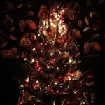 Photo by The Seven Dials (@SevenDialsMiami)
