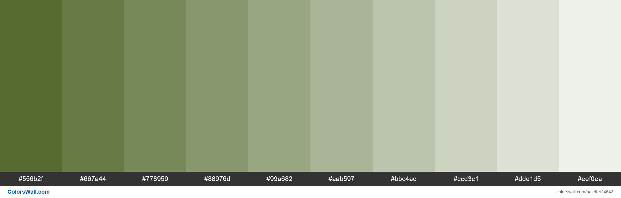 colorswall on X: Tints of Dark Olive Green #556B2F hex color #556b2f,  #667a44, #778959, #88976d, #99a682, #aab597, #bbc4ac, #ccd3c1, #dde1d5,  #eef0ea #colors #palette   /  X