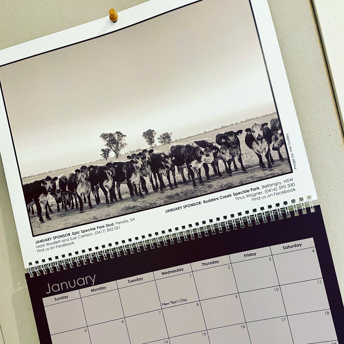 A new year means a new calendar on the wall! 🗓 Get yourself a copy of the 2020 Australian #SpecklePark #Calendar - proceeds to be donated to SPI for Speckle Park youth. $25 each + postage. Purchase your copy here: etsy.me/37nk0DQ #agchatoz